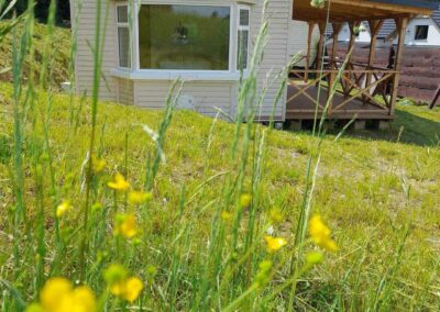 Domki holenderskie - galeria zdjęć